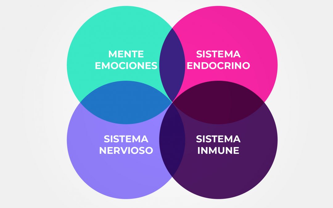 Qué es la psicoinmunoneuroendocrinologia?